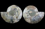 Split Ammonite Pair - Crystal Pockets #64851-1